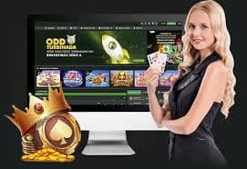 92bet